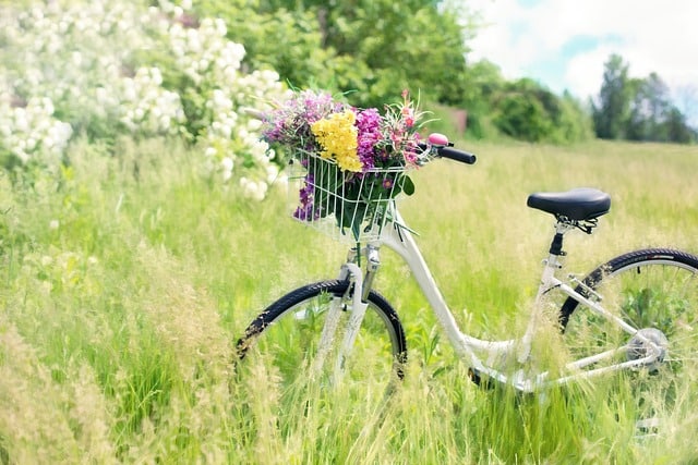 vélo classique