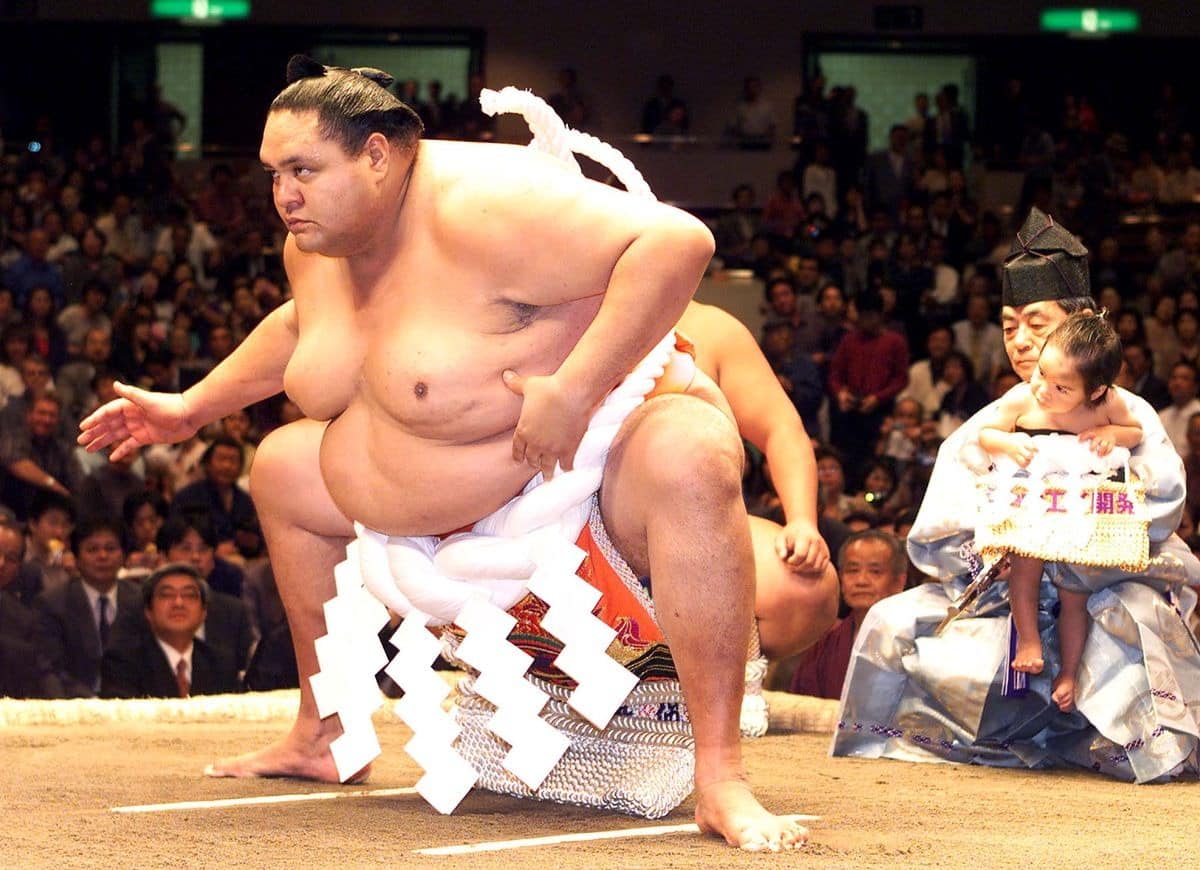 Le poids excessif imposé aux lutteurs de sumo 