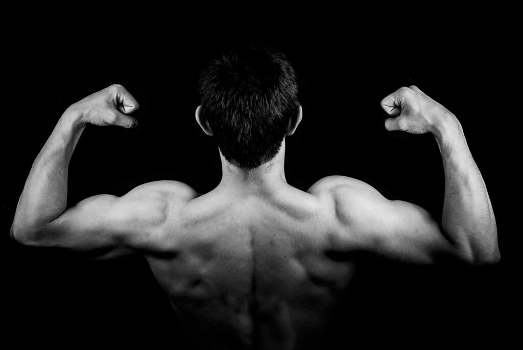 Exercices biceps Les 7 mouvements les plus efficaces validés